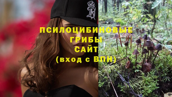 СК Новокубанск