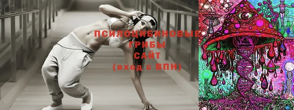 СК Новокубанск