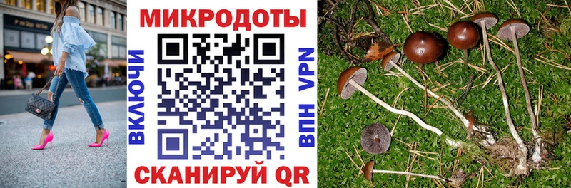Купить  Каневская  Псилоцибиновые грибы прущие грибы 
