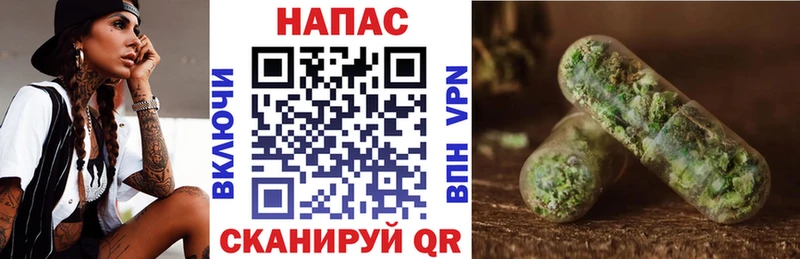 Бошки Шишки SATIVA & INDICA  Купить закладки  Каневская 
