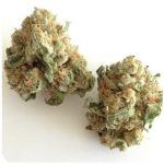 Шишки "White Widow"  (Белая вдова)  Гидропоника -  Бошка VHQ в Каневской